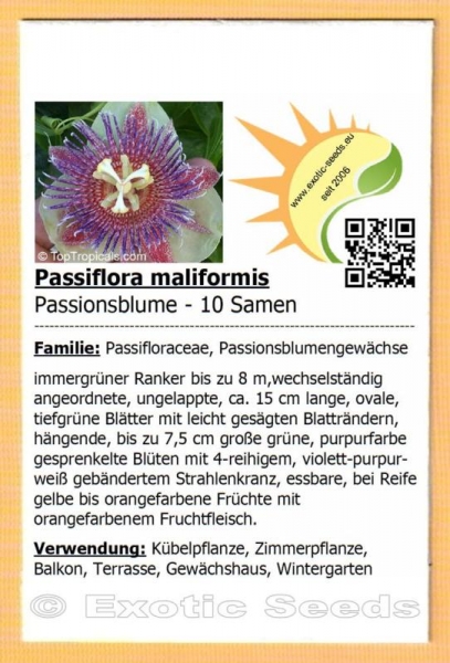 Passiflora maliformis, 10 Samen